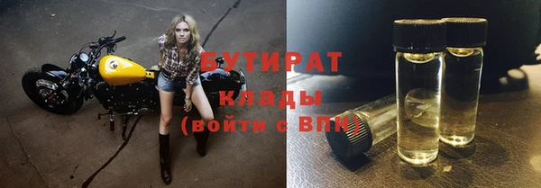 сатива Аркадак