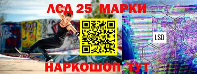 стафф Камышлов