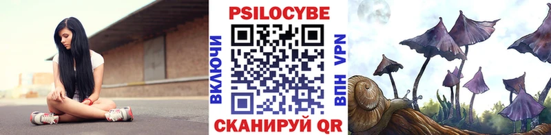где можно купить   Нижнеудинск  Галлюциногенные грибы мицелий 